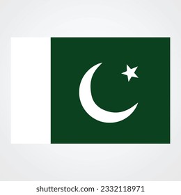 vector Flag of Pakistan isolated on white background