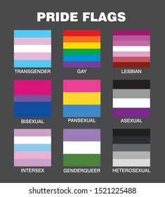 Vector Flags Representing Lgbt Pride Transgender Stock Vector (Royalty ...