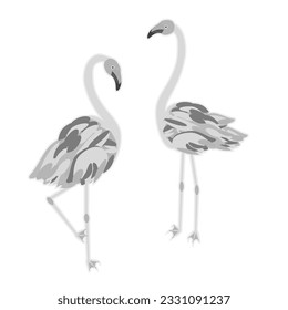 Vektor - Flamingo-Vögel, eine abstrakte Abbildung.