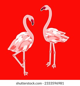 Vector - flamingo birds, an abstract illustration.