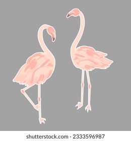 Vector - flamingo birds, an abstract illustration.