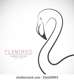 Vector of a flamingo design on white background, Wild Animals.