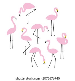 370 Different flamingos poses Images, Stock Photos & Vectors | Shutterstock