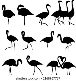 Vector flamingo icons on isolated white background