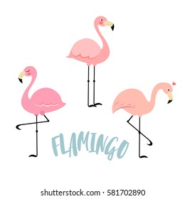 Vector flamingo images icons