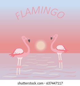 vector of flamingo on sunset background