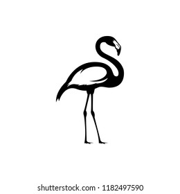 vector flamingo silhouette, exotic bird