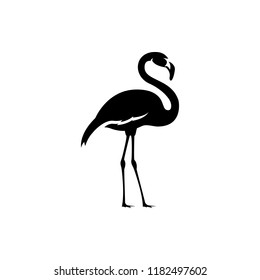 vector flamingo silhouette, exotic bird