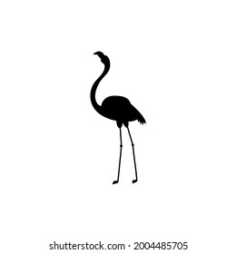 vector flamingo silhouette, exotic bird. isolated on a white background