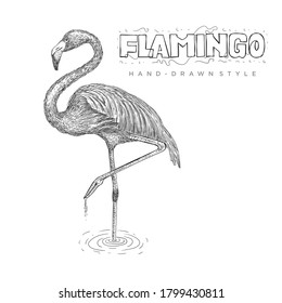 vector of a flamingo standing on the water using one leg. hand drawn animal illustration