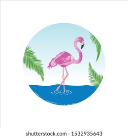 Vector flamingo standing in the water
