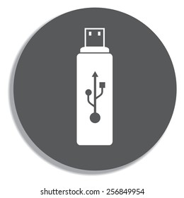 vector flash drive on a grey background