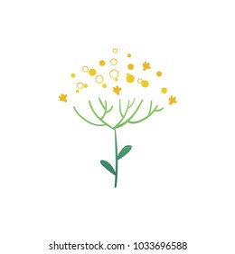 Vector flat abstract flower plant tutsan icon. Meadow garden spring easter women day romantic holiday, wedding invitation card decoration element summer floral Illustration white background