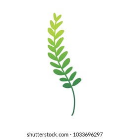 Vector flat abstract green fern plant icon. Wild meadow field grass garden spring easter, women day romantic holiday, wedding invitation card decoration summer floral Illustration white background