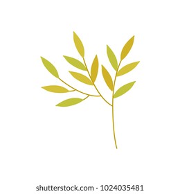Vector flat abstract green plant icon. Wild meadow field grass garden spring easter, women day romantic holiday, wedding invitation card decoration element summer floral Illustration white background