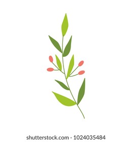 Vector flat abstract green plant with berry Wild meadow field grass garden spring easter, women day romantic holiday, wedding invitation card decoration, summer floral Illustration white background