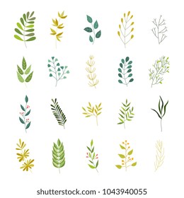 Vector flat abstract green plant herb set icon. Wild meadow field garden spring easter women day romantic holiday wedding invitation card decoration element summer floral Illustration white background