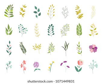 Vector flat abstract green plant herb set icon. Wild meadow field garden spring easter women day romantic holiday wedding invitation card decoration element summer floral Illustration white background