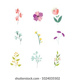 Vector flat abstract green plants flower herbs icon set. Meadow garden spring easter, women day romantic holiday, wedding invitation card decoration element summer floral Illustration white background