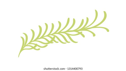 Vector flat abstract green plants flower herbs icon.  floral Illustration white background