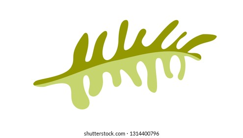 Vector flat abstract green plants flower herbs icon.  floral Illustration white background