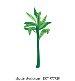 Vector flat abstract green tropical plant with leaves icon. Wild meadow or field grass, natural decoration, floral summer tropical design Illustration on white background