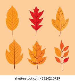 vector flat autumn forest and hand drawn autumn leaves collection.