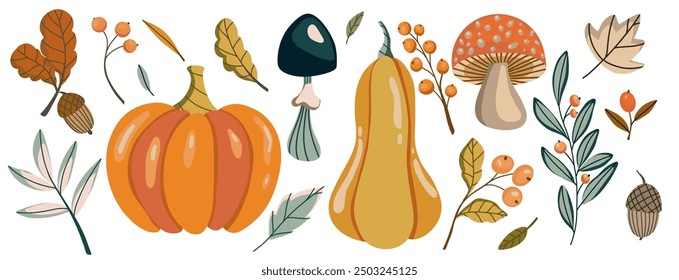 Vector flat autumn harvest themed illustration with pumpkins, squash, mushrooms, acorns, leaves, and berries, showcasing colors and elements of fall season. Thanksgiving and Harvest Day set.