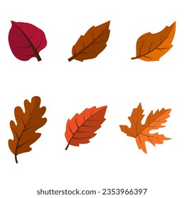 vector flat autumn leaves collection