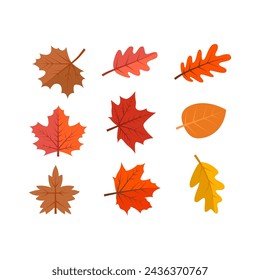 Vector Colección de hojas de otoño planas