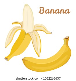 Vector flat bananas. Fresh peeled banana fruit isolated on white background.