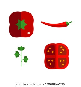 Vector flat barbecue, bbq symbols set. Sliced chili pepper, tomato, parsley vegetables for grill. Restaurant menu design elements, isolated illustration on a white background