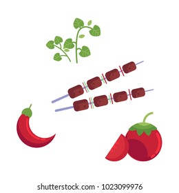 Vector flat barbecue, bbq symbols set. Meat at skewer, sliced tomato chili pepper, parsley vegetables for grill. Restaurant menu design elements, isolated illustration on a white background