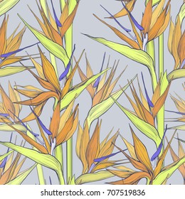 vector flat beautiful strelizia seamless pattern