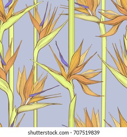 vector flat beautiful strelizia seamless pattern