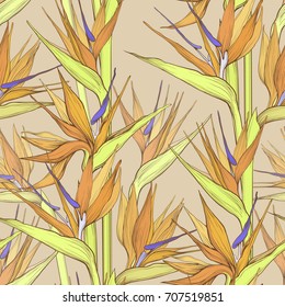 vector flat beautiful strelizia seamless pattern
