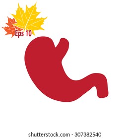 Vector flat belly icon