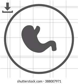 Vector flat belly icon.