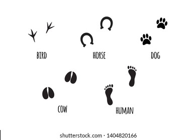 Vector flat black collection set of different animal silhouettes foot print isolated on white background 