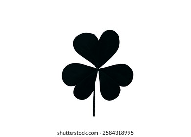 Vector flat black Irish shamrock clover isolated on white background Black clover leaf icon. Vector illustration