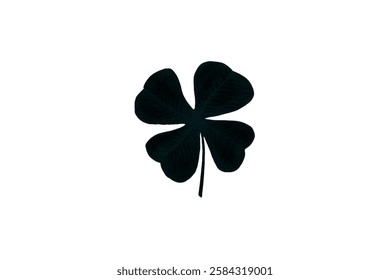 Vector flat black Irish shamrock clover isolated on white background Black clover leaf icon. Vector illustration