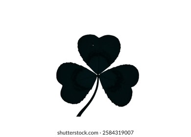 Vector flat black Irish shamrock clover isolated on white background Black clover leaf icon. Vector illustration