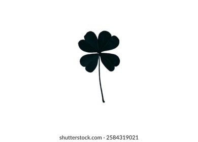 Vector flat black Irish shamrock clover isolated on white background Black clover leaf icon. Vector illustration