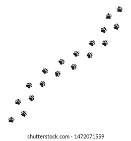 Vector flat black path of bear foot print steps isolated on white background