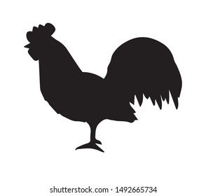 Vector flat black rooster silhouette isolated on white background 
