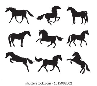 Vector flat black set bundle of horse silhouette isolated on white background 