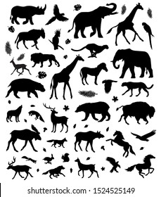 Vector Flat Black Set Bundle Of Different Wild Animals Silhouette Isolated On White Background