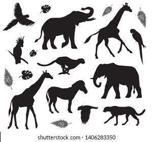 Vector flat black set collection of african animals silhouette isolated on white background 
