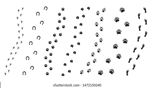 Vector flat black set collection of animals foot print path isolated on white background