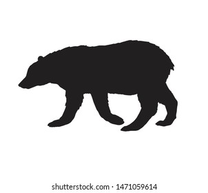 Vector flat black silhouette of grizzly bear isolated on white background